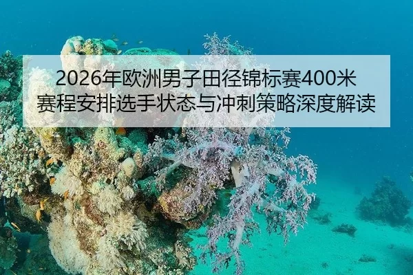 nian-ou-zhou-nan-zi-tian-jing-jin-biao-sai-mi-sai-cheng-an-pai-xuan-shou-zhuang-tai-yu-chong-ci-ce-lve-shen-du-jie-du-2-152.jpg