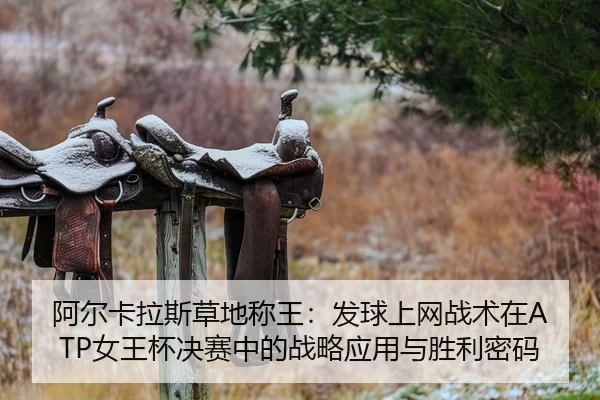 a-er-ka-la-si-cao-di-cheng-wang-fa-qiu-shang-wang-zhan-shu-zai-nv-wang-bei-jue-sai-zhong-de-zhan-lve-ying-yong-yu-sheng-2-445.jpg