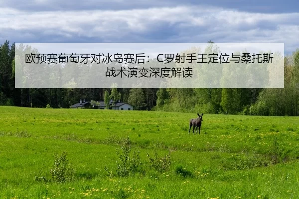 ou-yu-sai-pu-tao-ya-dui-bing-dao-sai-hou-luo-she-shou-wang-ding-wei-yu-sang-tuo-si-zhan-shu-yan-bian-shen-du-jie-du-2-765.jpg