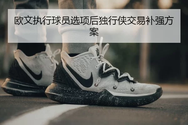 欧文执行球员选项后独行侠交易补强方案