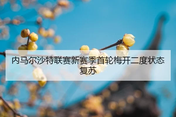 内马尔沙特联赛新赛季首轮梅开二度状态复苏
